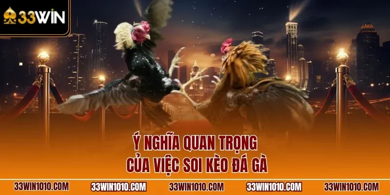 Ý nghĩa quan trọng của việc soi kèo đá gà